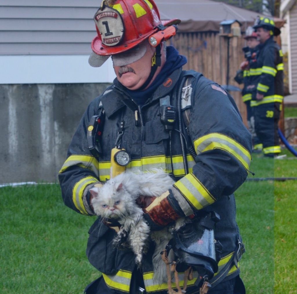 Happy to be rescued